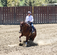 JR Productions Working cow horse Schooling show